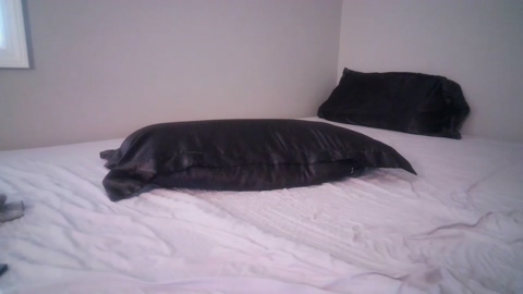 leefoxx  23-07-2022